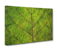 Lines Of The Leaf Canvas Print | Gallery Wrapped 30mm Frame Wall Art | 30x20 inches | Ready to Hang | Abstract Floral Picture | Living Room Bedroom Lounge Office
