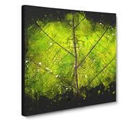 Lines of the Leaf Paint Splash Canvas Print | Gallery Wrapped 30mm Frame Wall Art | 20x20 inches | Ready to Hang | Modern Floral Picture | Living Room Bedroom Lounge Office