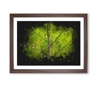 Lines Of The Leaf Paint Splash Modern Art Framed Print | A2 Walnut Framed Wall Art | Ready to Hang | Modern Floral Picture | Living Room Bedroom Lounge Office