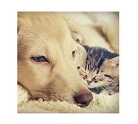 Ling Design Blank/Birthday Greetings Card - Puppy and Kitten - From the Beautiful Range - For Her or Him