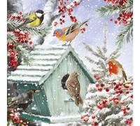 Ling Design Charity Christmas Cards Pack of 8 - Festive Garden Birds in the Snow - Premium Greeting Cards Multipack with Envelopes - Supporting UK Charities