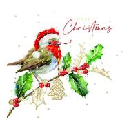Ling Design Christmas Robin on a Holly Branch 16cm Square Foil Embossed Christmas Cards Pack of 10