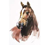 Ling Design - Galleria - Watercolour Arabian Horse - Blank Greetings Card