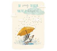Ling Design Get Well Card (LD-GHM336) - Out For A Stroll - Hedgehog In Rain - From The Range - Foiled Finish