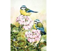 Ling Design - Open Birthday Card - Blue Tits On Flowers - for Him or Her