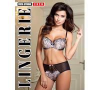 Lingerie Planner 2026: Tasteful Fine Art Images and Stylish Organizer for Collectors