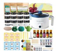 LINGQIAN Candle Making Kit for Adults with 12 Jars, 900g Soy Wax, DIY Succulent Mould Wax Melts Kit with Beeswax 454g, Make Your Own Scented Candle at Home