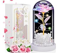 LinjunFa Valentines Day Gifts for Her - Eternal Rose,Forever Rose Gift for Her, Birthday Gift for Women, Rose Gift for Mum, Light Up Galaxy Roses in Glass, Beauty and The Beast Rose with LED Light