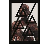 Linkin Park Flag Poster Flag Burn It Down