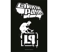 Linkin Park Meteora Flag