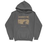 Linkin Park Unisex-Adult Meteora Hoodie Hooded Sweatshirt, Charcoal, Medium