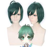 LINLINCD Anime Cosplay Wig 30 cm 5v5 Arena Game Green Anime Wig Man Synthetic Hair Fluffy Halloween Costume Cosplay Wigs High Temperature Fibre