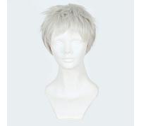 LINLINCD Cosplay Wig 30 cm Short Straight Synthetic Hair Overwatch Soldier 76 Wig for Man Boy Costume Party Silver Grey Soldier 76