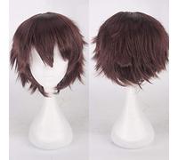 LINLINCD Cosplay Wig 30 cm Short Wig Black White Purple Blue Red High Temperature Fibre Synthetic Wigs Costume Party Cosplay Wig Multi 12 Colour 05