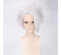 LINLINCD Cosplay Wig Anime Bleach Hitsugaya Toushirou Silver White Short Wig Cosplay Costume Heat Resistant Synthetic Hair Men Cosplay Wigs