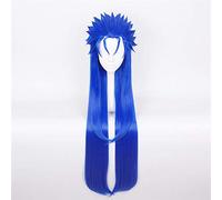 LINLINCD Cosplay Wig Anime Fgo Fate Extra Lancer Cu Chulainn Cosplay Wig Caster Straight Long Blue Synthetic Hair Halloween Costume Game Wigs for Men Kumz9620