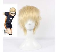 LINLINCD Cosplay Wig Anime Haikyuu!! Wigs Kei Tsukishima Wig Short Light Blonde Cosplay Wig Heat Resistant Synthetic Hair Costume Wigs + Wig Cap