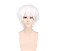 LINLINCD Cosplay Wig Anime Toaru Majutsu No Index Accelerator White Short Wig Cosplay Costume Heat Resistant Synthetic Hair Men Cosplay Wigs