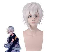 LINLINCD Cosplay Wig Fate Grand Order Kadoc Zemlupus Silver White Short Wig Cosplay Costume Fgo Heat Resistant Synthetic Hair Men Women Cosplay Wigs Pl-130