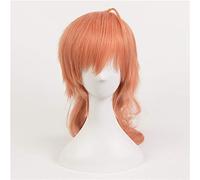 LINLINCD Cosplay Wig FGO Fate/Grand Order Romani Archaman Dr. Roman Doctor Cosplay Wig Orange Ponytails Synthetic Halloween Carnival Costume Wigs