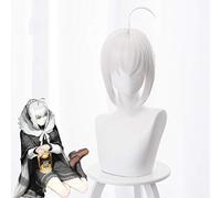 LINLINCD Cosplay Wig Fgo Lord El-Melloi Ii-Sei No Jikenbo Grey Cosplay Wig Fate Large Order Grey El-Melloi Archisorte Gurei Anime Wigs Perucas Kuzz235Dd