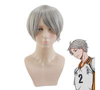 LINLINCD Cosplay Wig Haikyuu !! Cosplay Tsukishima Kei Hinata Shoyo Nishinoya Yuu Oikawa Tooru Kozume Kenma Kageyama Tobio Miya Atsumu Miya Osamu Wig Sugawara Koushi