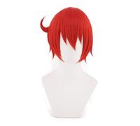LINLINCD Cosplay Wig Hataraku Saibou Cells at Work Erythrocytes Red Blood Cells Short Wig Cosplay Costume Heat Resistant Synthetic Hair Women Wigs