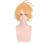 LINLINCD Cosplay Wig My Hero Academia Cosplay Wigs Himiko Toga Baku No Hero Costume Shoto Todoroki Kaminari Denki Katsuki Bakugo JK Izuku Midoriya J.