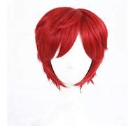 LINLINCD Cosplay Wig Re: Life in a World Other Than Zero Reinhard van Astrea Cosplay Wigs 30 cm Red Synthetic Hair Perucas Cosplay Wig + Wig Cap as Photo