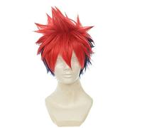 LINLINCD Cosplay Wig Shokugeki No Soma Yukihira Souma Cosplay Wig for Men Boys 30 cm Short Straight Heat Resistant Synthetic Hair Blue Red Mixed Yukihira Souma