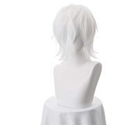 LINLINCD Cosplay Wig Toaru Majutsu No Index Accelerator Cosplay Wig for Men Boys 30 cm Short Straight Anime Wig Heat Resistant Synthetic Hair White One Size White