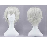 LINLINCD Cosplay Wig Tokyo Ghoul Kaneki Ken 30 cm 11.81 Inches Short Straight Cosplay Wig for Men Boys Heat Resistant Synthetic Hair Silver White Wig Only