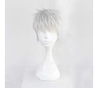 LINLINCD Cosplay Wig Twisted Wonderland Kalim Al-Asim Cosplay Wigs Grey Silver Short Heat Resistant Synthetic Hair Wig Anime Costume Hairpiece Kalim Al-Asim