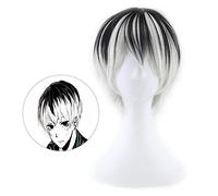 LINLINCD Cosplay Wig Wigs Tokyo Ghoul Kaneki Ken Wig Short Straight Silver Grey Synthetic Hair Cosplay Anime Wigs Heat Resistant Fibre Tokyo Ghoul Wig Only