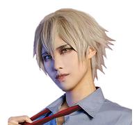 LINLINCD -Miketsukami Soushi Short Wash Grey Cosplay Wigs Anime Inu X Boku Ss. Heat Resistant Synthetic Hair Wigs + Wig Cap