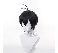 LINLINCD -Wig Anime Cosplay Anime Cosplay Wig Chinen Miya Black Short Wig Cosplay Costume SK8 Infinity Heat Resistant Synthetic Hair SK∞ Carnival Party Wigs