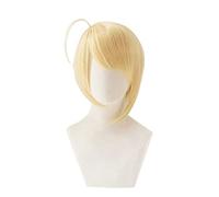 LINLINCD -Wig Anime Cosplay Anime Wig Shugo Chara!Cosplay Tadase Hotori Wig Short Blonde Wig Costume Halloween Wig for Halloween Costume Party Concerts
