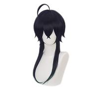 LINLINCD -Wig Anime Cosplay Anime Wig Twisted Wonderland Cosplay Malleus Draconia Wig Dark Blue Long Wig Costume Halloween Wig for Halloween Costume Party Concert