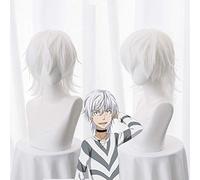 LINLINCD -Wig Anime Cosplay Toaru Majutsu No Index Accelerator Cosplay Wig for Man Boys 30 cm Short Straight Anime Wig Heat Resistant Synthetic Hair White