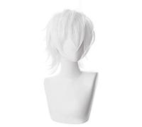 LINLINCD -Wig Anime Cosplay Toaru Majutsu No Index Accelerator Cosplay Wig Man Boys 30 cm White Short Straight Heat Resistant Synthetic Hair Anime Wigs