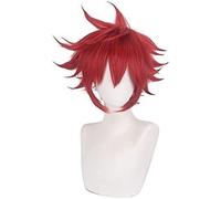 LINLINCD -Wig Anime Cosplay Wig for Anime Wigs Cosplay Christmas Cosplay Wig Unlimited Skateboard Sk∞ Calendar Red Big Anti-Alice Anime Wig