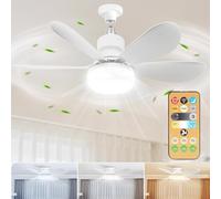 LINNIW Ceiling Fan with LED Lights,E27 30W Noiseless Ceiling Lamp with Fan and Remote,1/2/4H Timing,3 Color Dimmable LED,3 Speeds Led Ceiling Fans for Bedroom Living Room Dorm