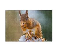 Linomo 1000 Pieces Jigsaw Puzzles for Adults Kids, Cute Animal Squirrel Jigsaw Puzzle Educational Games Home Decoration