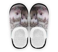 linomo Cute Animal Hedgehog Slippers for Women Men Kids, Womens House Slippers Indoor Slipper House Shoes Bedroom Travel Shoe Multicolor