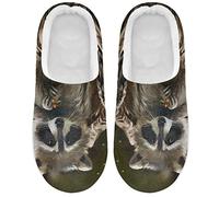 Linomo Cute Animal Raccoon Slippers for Women, Womens House Slippers Indoor Slipper Socks House Shoes Bedroom Shoe