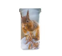 linomo Cute Animal Squirrel Sunglasses Bag Microfiber Leather Pouch, Storage Bag for Glasses and Cell Phones