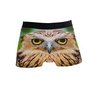 Linomo Men's Boxer Briefs Cute Animal Owl Face Boxers Shorts Underwear Underpants