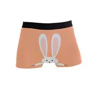 Linomo Men's Boxer Briefs Cute Rabbit Bunny Hare Boxers Shorts Underwear Underpants Multicoloured