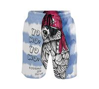 Linomo Men's Swim Shorts Funny Pirate Animal Bird Owl Swimming Trunks Beach Shorts Quick Dry Surfing Board Shorts for Men Multicoloured