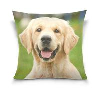 Linomo Throw Pillow Cover 18x18 inch, Golden Retriever Decorative Pillow Cases Cushion Cover for Couch Sofa Bed Home